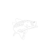 Où est le poisson