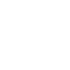 Senegal - Löwe