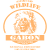 Gabon - Lion