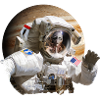 alien planet astronaut