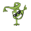 Circus Frog Handstand