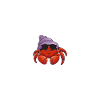 Hermit Crab Gifts
