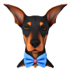 Dobermannwelpe Dobermann Hund Dobermanntrainer