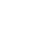 Zwickau Zwickauerin Zwickauer Stadt Zwickau