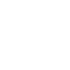 Scout