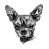 Chihuahua | Mosaic | Geometrical | Art | Dog |