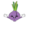 Onion