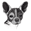 Chihuahua | Mosaic | Geometrical | Art | Dog |
