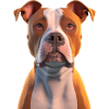 American Staffordshire Dog