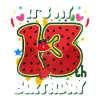 13th Birthday Watermelon Summer Gift