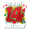 14th Birthday Watermelon Summer Gift