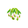 Save The Rainforest