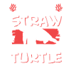 Save the Ocean Turtle