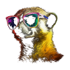 Meerkat Gift Animal Animal Motif Sunglasses