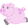 Gentil petit cochon