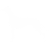Rhodesian Ridgeback Silhouette