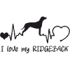 Rhodesian Ridgeback mit Herzschlag