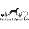Rhodesian Ridgeback mit Herzschlag