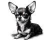 Chihuahua | Book | Coffee | Tea | Reading |