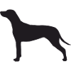 Rhodesian Ridgeback Silhouette