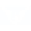 logo etheryon