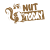 Nut Today Fuchshörnchen Grauhörnchen Squirrel