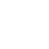 Skiing Evolution