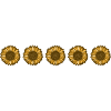 SUNFLOWER: Sunflower Bliss