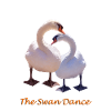 cygne