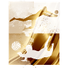 volleyball, volleyballer, beachball,graffiti,gold