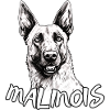 Belgian Shepherd - comic