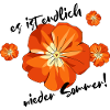 Sommer Blume