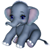 Baby elephant