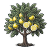 Lemon tree