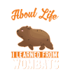 Wombat Australie