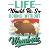 Australischer Wombat