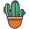 Cactus minimalist
