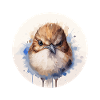 Wren bird