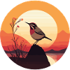 Wren bird