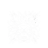 Burning pour Rockmusik - Skull