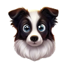 Intelligent Border Collie Profile