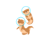 Otter Sea Otter Otter Gift