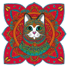 Beautiful Bohemian Cat |