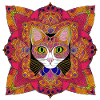 Chat de Bohème |