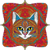Beautiful Bohemian Cat |