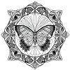 Beautiful butterly |