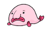 Blob Fish Fish Motif Funny