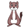Weasel marten
