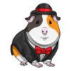Guinea Pig Groom Wedding
