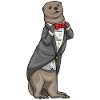 Otter Groom Wedding